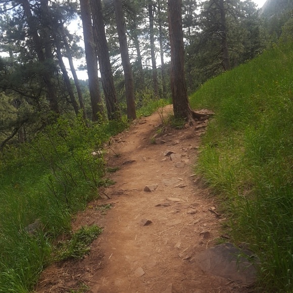 Meet your Posher, Rose - Picture 1 of 2